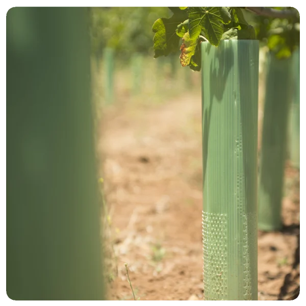 Protectores de plantas enrollables